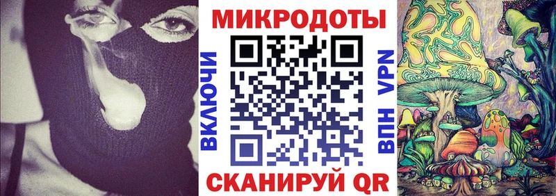 дарнет шоп  Лодейное Поле  Псилоцибиновые грибы мицелий 