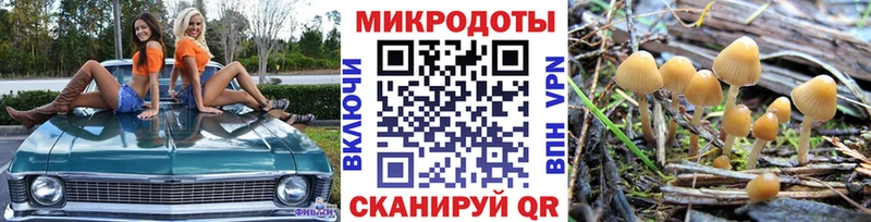 Галлюциногенные грибы прущие грибы Лодейное Поле
